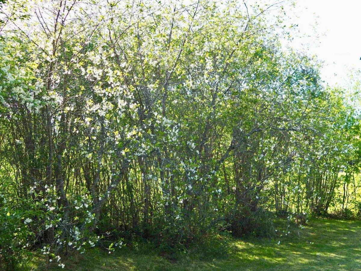 Willa Orsastuguthyrning-Kyrkbyn Zewnętrze zdjęcie